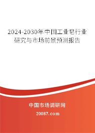 2024-2030年中国工业皂行业研究与市场前景预测报告