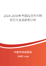 2024-2030年中国光亮剂市场研究与发展趋势分析