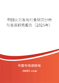 中国火力发电行业研究分析与发展趋势报告(2025年) 中国火力发电行业研究分析与发展趋势报告(2025年)