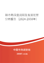 磷市场深度调研及发展前景分析报告（2024-2030年）