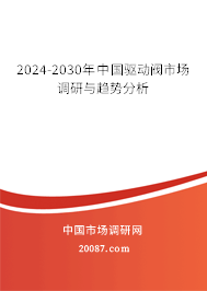 2024-2030年中国驱动阀市场调研与趋势分析