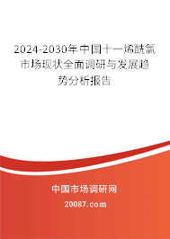 2024-2030年中国十一烯酰氯市场现状全面调研与发展趋势分析报告