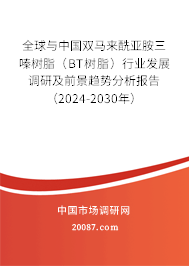 全球与中国双马来酰亚胺三嗪树脂（BT树脂）行业发展调研及前景趋势分析报告（2024-2030年）