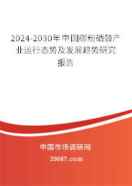 2024-2030年中国碳粉硒鼓产业运行态势及发展趋势研究报告