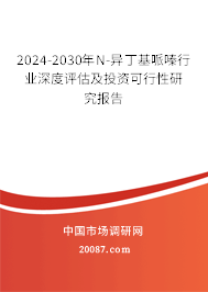 2024-2030年N-异丁基哌嗪行业深度评估及投资可行性研究报告