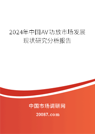 2024年中国AV功放市场发展现状研究分析报告