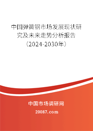 中国弹簧钢市场发展现状研究及未来走势分析报告（2024-2030年）