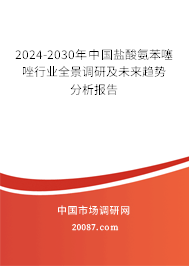 2024-2030年中国盐酸氨苯噻唑行业全景调研及未来趋势分析报告