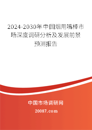 2024-2030年中国烟用嘴棒市场深度调研分析及发展前景预测报告