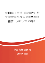 中国电工用钢（硅钢片）行业深度研究及未来走势预测报告（2023-2029年）