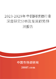 2023-2029年中国网球拍行业深度研究分析及发展趋势预测报告