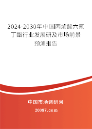 2024-2030年中国丙烯酸六氟丁酯行业发展研及市场前景预测报告