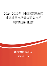 2024-2030年中国超高速角接触球轴承市场调查研究与发展前景预测报告