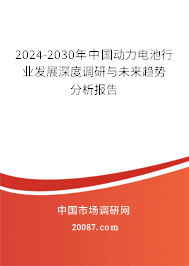 2024-2030年中国动力电池行业发展深度调研与未来趋势分析报告