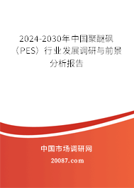 2024-2030年中国聚醚砜（PES）行业发展调研与前景分析报告