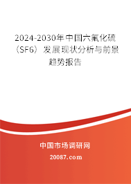 2024-2030年中国六氟化硫（SF6）发展现状分析与前景趋势报告