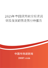 2025年中国民用航空现状调研及发展趋势走势分析报告 2025年中国民用航空现状调研及发展趋势走势分析报告