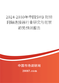 2024-2030年中国SMB 射频同轴连接器行业研究与前景趋势预测报告