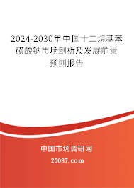 2024-2030年中国十二烷基苯磺酸钠市场剖析及发展前景预测报告