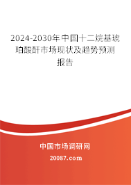 2024-2030年中国十二烷基琥珀酸酐市场现状及趋势预测报告