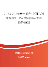 2023-2029年全球与中国乙脒盐酸盐行业深度调研与发展趋势预测