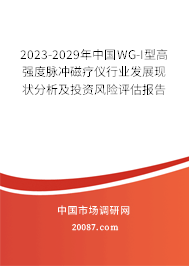 2023-2029年中国WG-I型高强度脉冲磁疗仪行业发展现状分析及投资风险评估报告