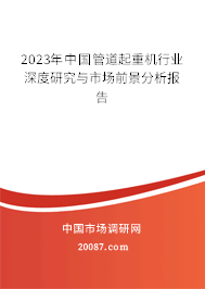 2023年中国管道起重机行业深度研究与市场前景分析报告