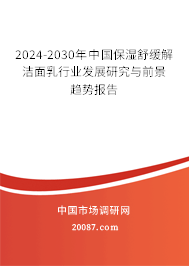 2024-2030年中国保湿舒缓解洁面乳行业发展研究与前景趋势报告