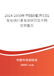 2024-2030年中国超临界CO2发电机行业发展研究及市场前景报告