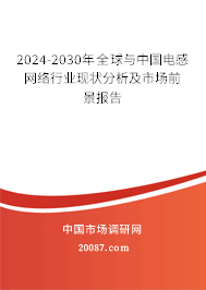 2024-2030年全球与中国电感网络行业现状分析及市场前景报告