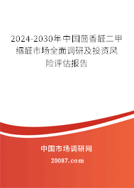 2024-2030年中国茴香醛二甲缩醛市场全面调研及投资风险评估报告