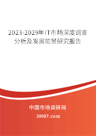 2023-2029年IT市场深度调查分析及发展前景研究报告