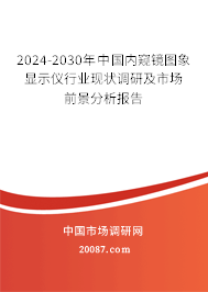 2024-2030年中国内窥镜图象显示仪行业现状调研及市场前景分析报告