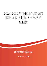 2024-2030年中国生物基衣康酸酯橡胶行业分析与市场前景报告