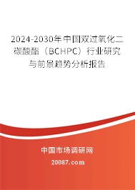 2024-2030年中国双过氧化二碳酸酯（BCHPC）行业研究与前景趋势分析报告