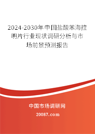 2024-2030年中国盐酸苯海拉明片行业现状调研分析与市场前景预测报告