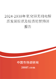 2024-2030年氧化锌无机电解质发展现状及投资前景预测报告