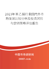 2023年苯乙酮行业国内外市场发展比较分析及投资风险与营销策略评估报告