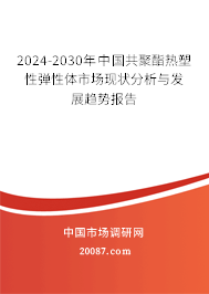 2024-2030年中国共聚酯热塑性弹性体市场现状分析与发展趋势报告