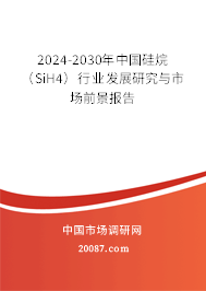 2024-2030年中国硅烷（SiH4）行业发展研究与市场前景报告