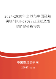 2024-2030年全球与中国硅烷偶联剂KH-570行业现状及发展前景分析报告