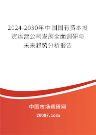 2024-2030年中国国有资本投资运营公司发展全面调研与未来趋势分析报告