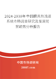 2024-2030年中国模具热流道系统市场调查研究及发展前景趋势分析报告