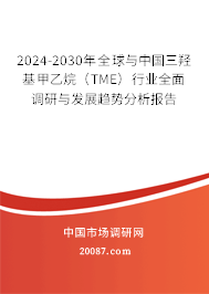 2024-2030年全球与中国三羟基甲乙烷（TME）行业全面调研与发展趋势分析报告