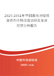 2025-2031年中国蓄电池增放复原剂市场深度调研及发展前景分析报告 2025-2031年中国蓄电池增放复原剂市场深度调研及发展前景分析报告