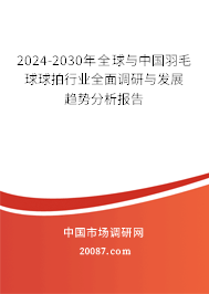 2024-2030年全球与中国羽毛球球拍行业全面调研与发展趋势分析报告