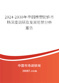 2024-2030年中国橡塑配件市场深度调研及发展前景分析报告