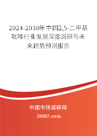 2024-2030年中国2,5-二甲基吡嗪行业发展深度调研与未来趋势预测报告