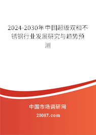 2024-2030年中国超级双相不锈钢行业发展研究与趋势预测