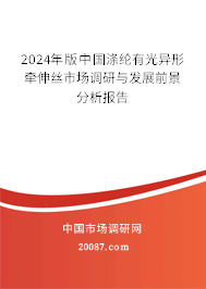 2024年版中国涤纶有光异形牵伸丝市场调研与发展前景分析报告